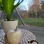 Glamping Кемпинг Krauschwitz
