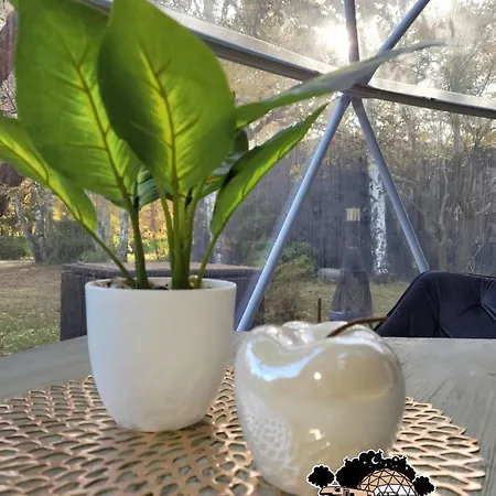 Glamping אתר קמפינג